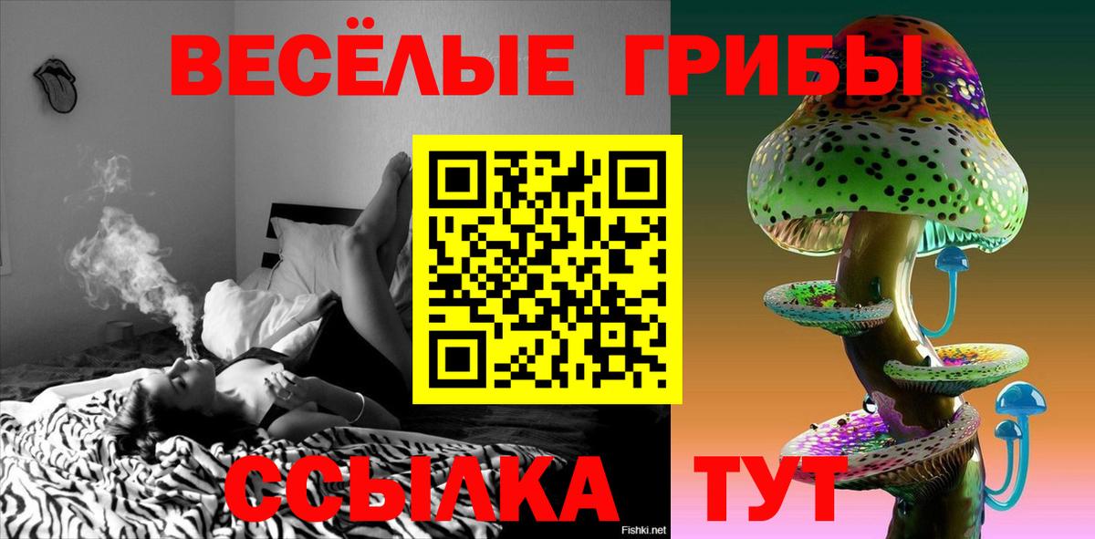 Липецк  Псилоцибиновые грибы Psilocybe  Псилоцибиновые грибы Cubensis  Вход с VPN 